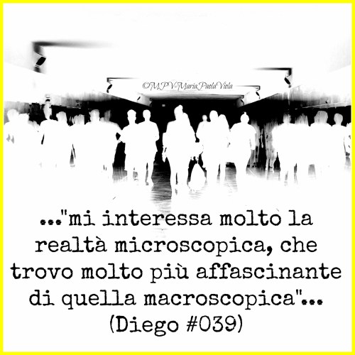 IMG_8940©MPV-MariaPaolaViola